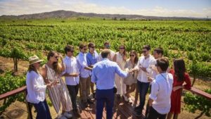 Casas del Bosque Winery Excursion