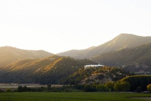 Wine Tasting Adventure at Vik Vineyard